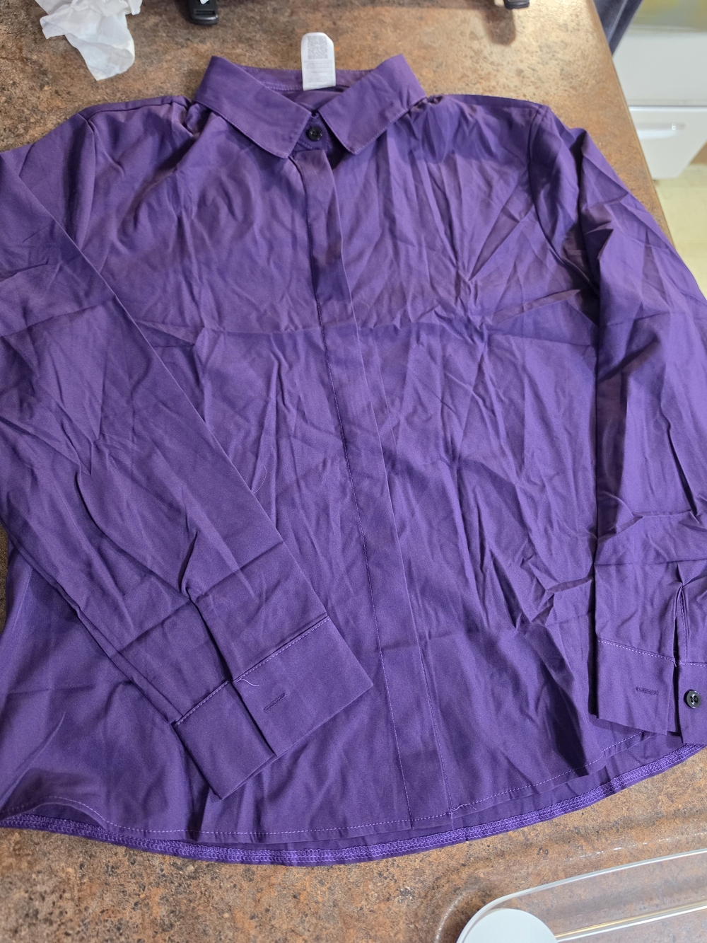 Purple Blouse